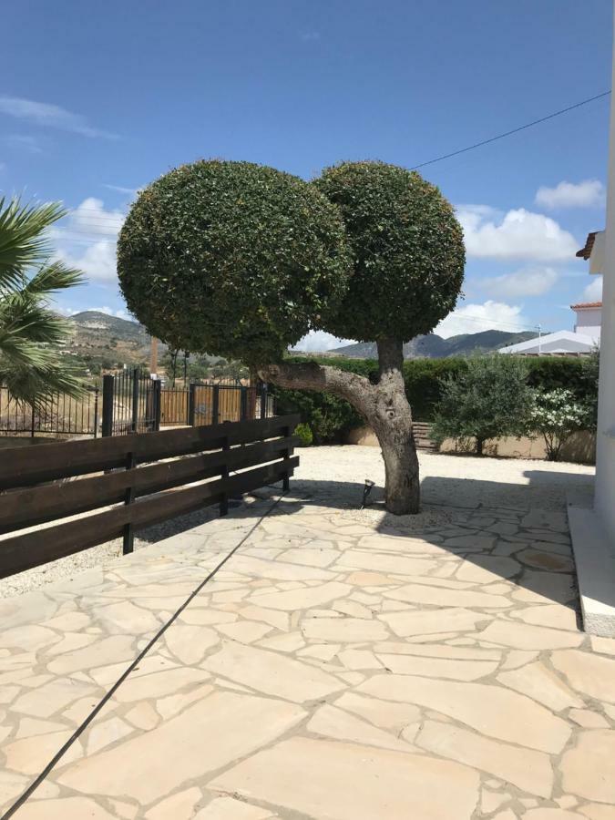 فيلا Lilly بييا المظهر الخارجي الصورة